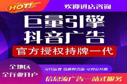 行业领先SEM服务公司案例研究